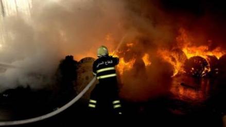 ����Ɖ���Ӌ��C��|���S